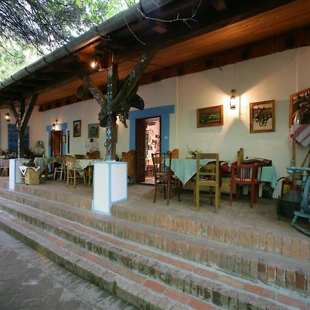 Salas 137 Hotel Cenej Exterior foto
